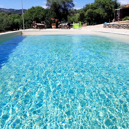 Cabana Rustica En Un Rancho Con Caballos, Prado Del Rey, Andalucia エクステリア 写真
