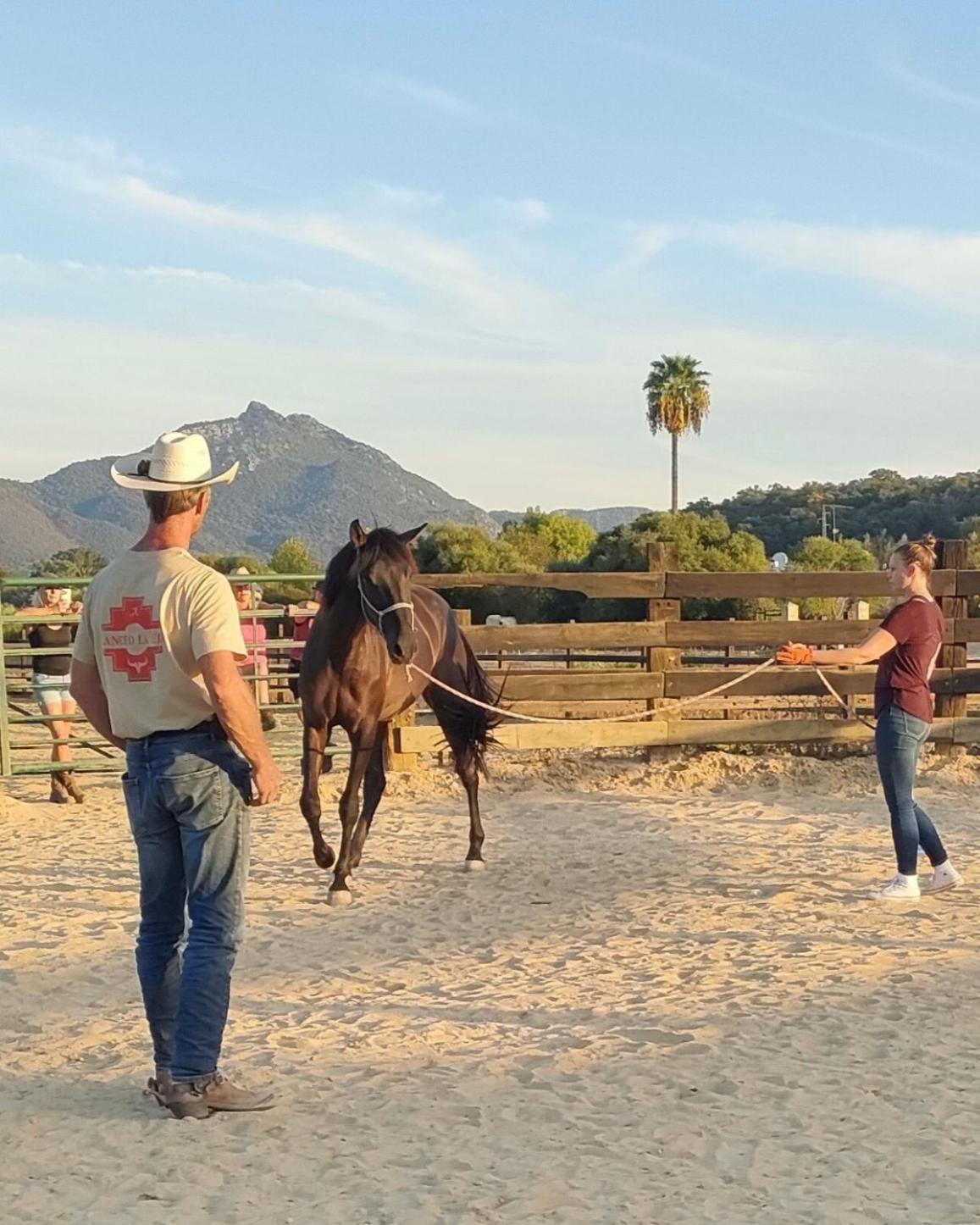 Cabana Rustica En Un Rancho Con Caballos, Prado Del Rey, Andalucia エクステリア 写真