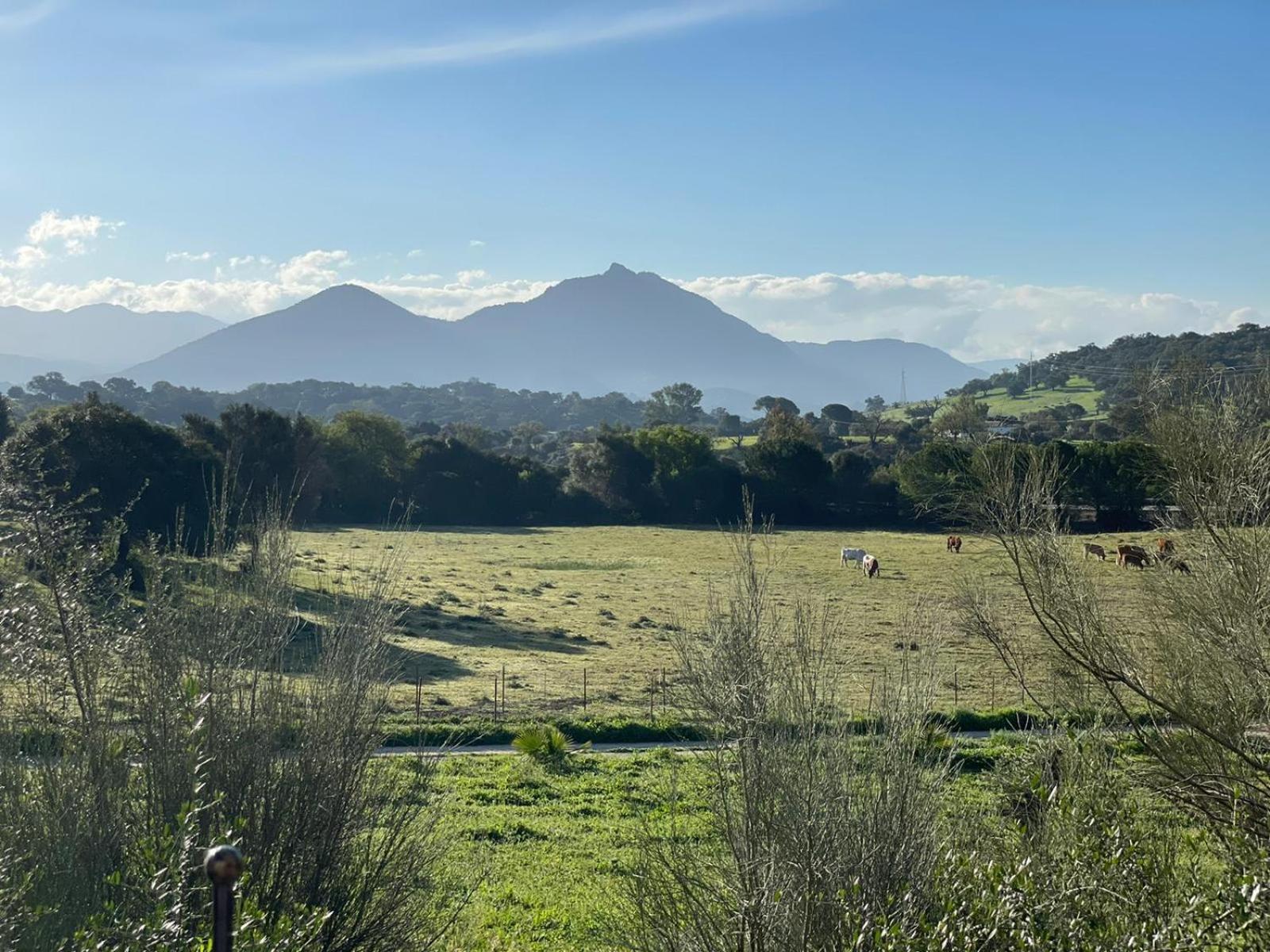 Cabana Rustica En Un Rancho Con Caballos, Prado Del Rey, Andalucia エクステリア 写真