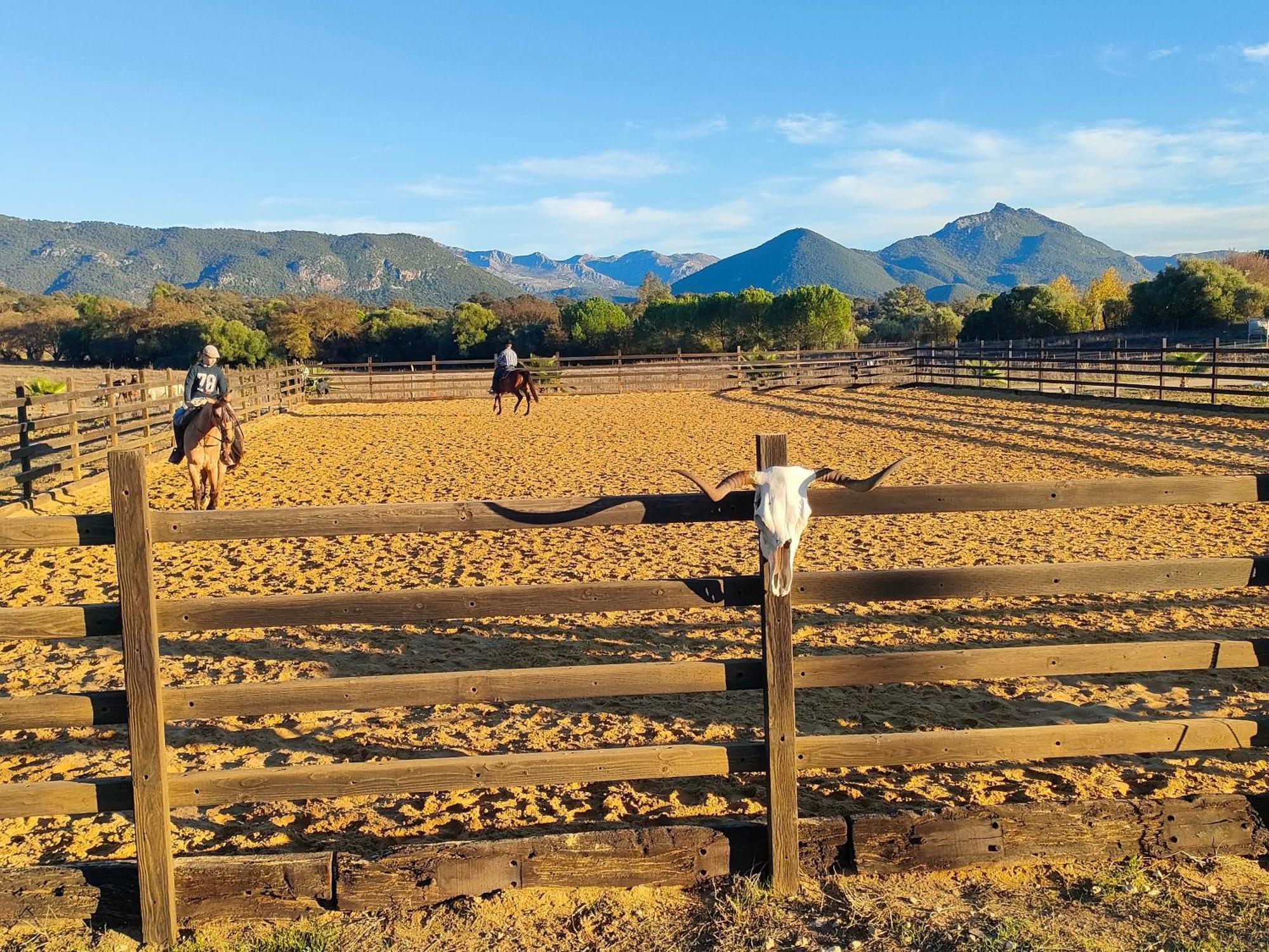 Cabana Rustica En Un Rancho Con Caballos, Prado Del Rey, Andalucia エクステリア 写真