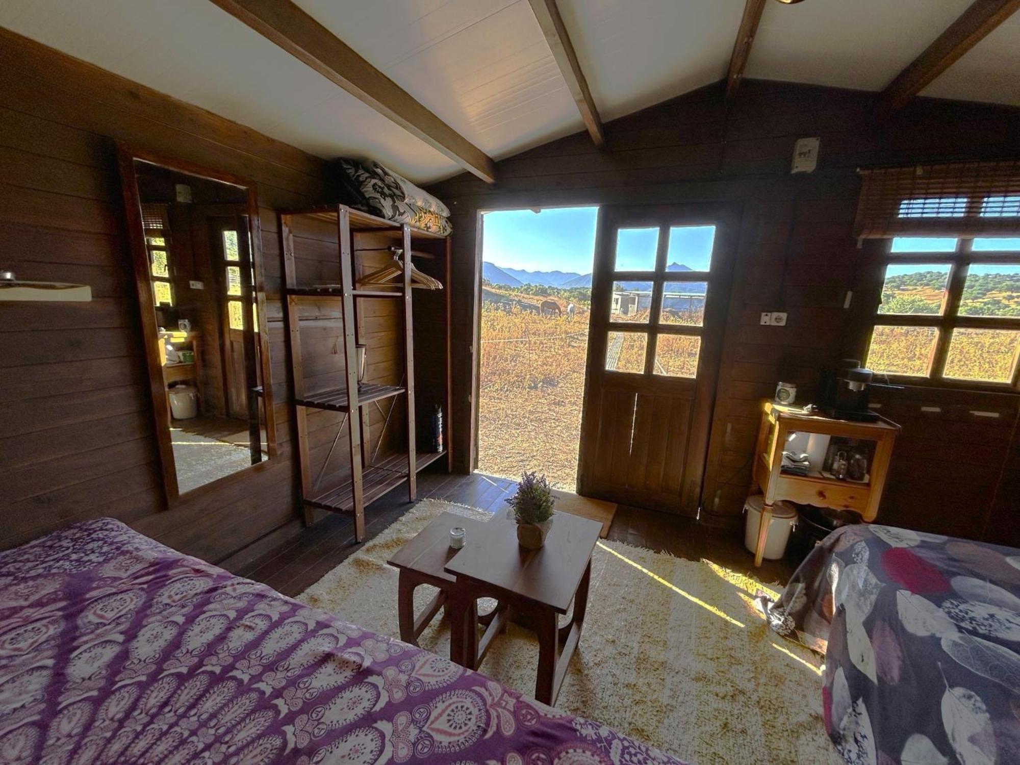 Cabana Rustica En Un Rancho Con Caballos, Prado Del Rey, Andalucia エクステリア 写真