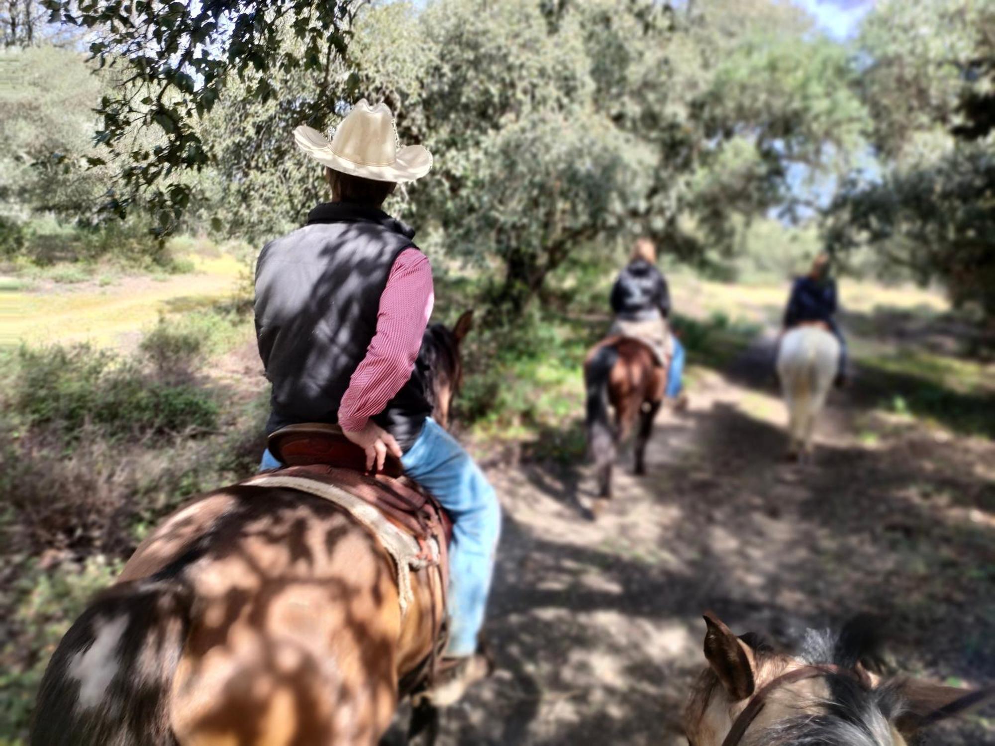 Cabana Rustica En Un Rancho Con Caballos, Prado Del Rey, Andalucia エクステリア 写真