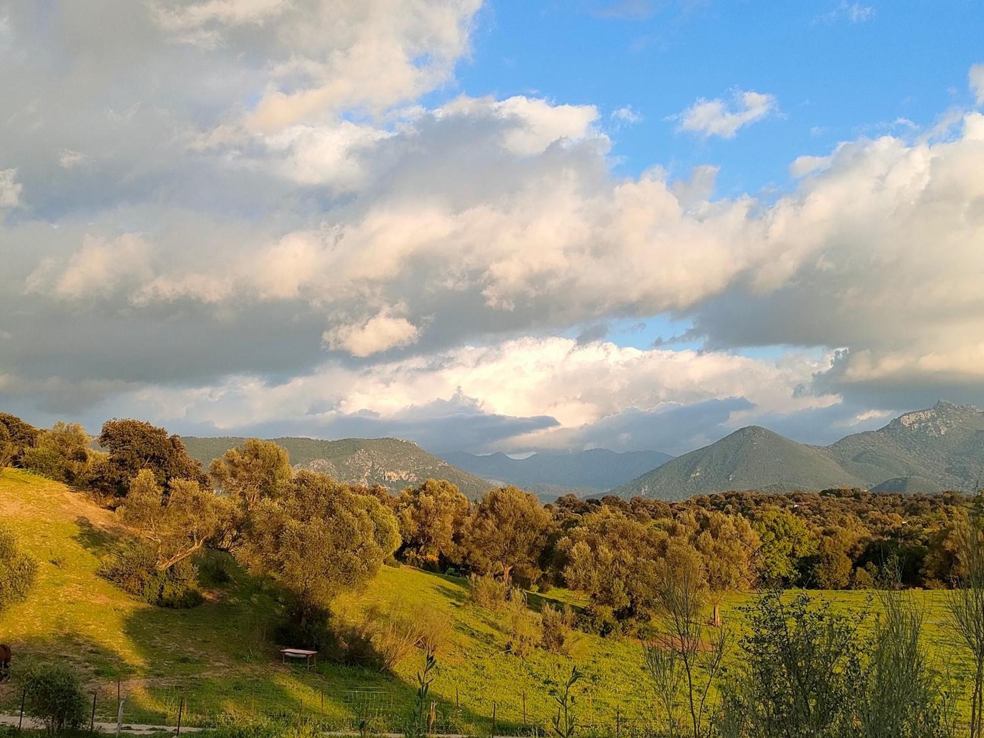 Cabana Rustica En Un Rancho Con Caballos, Prado Del Rey, Andalucia エクステリア 写真