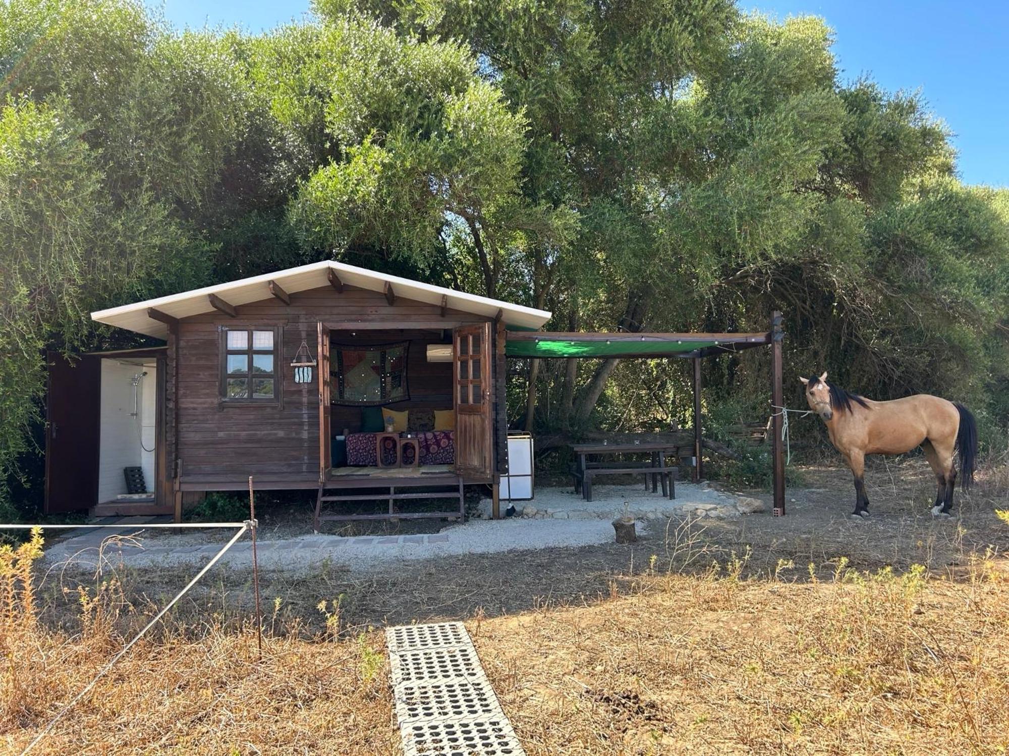 Cabana Rustica En Un Rancho Con Caballos, Prado Del Rey, Andalucia エクステリア 写真