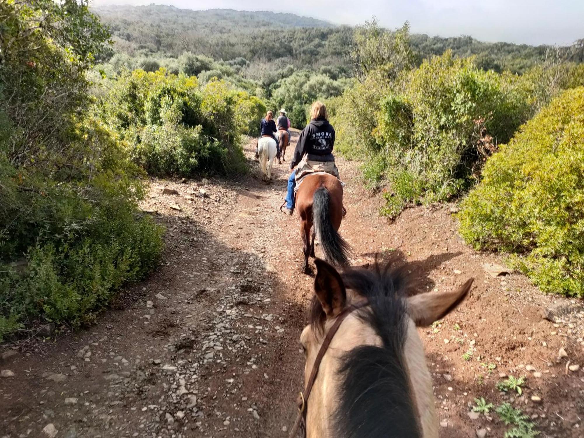 Cabana Rustica En Un Rancho Con Caballos, Prado Del Rey, Andalucia エクステリア 写真