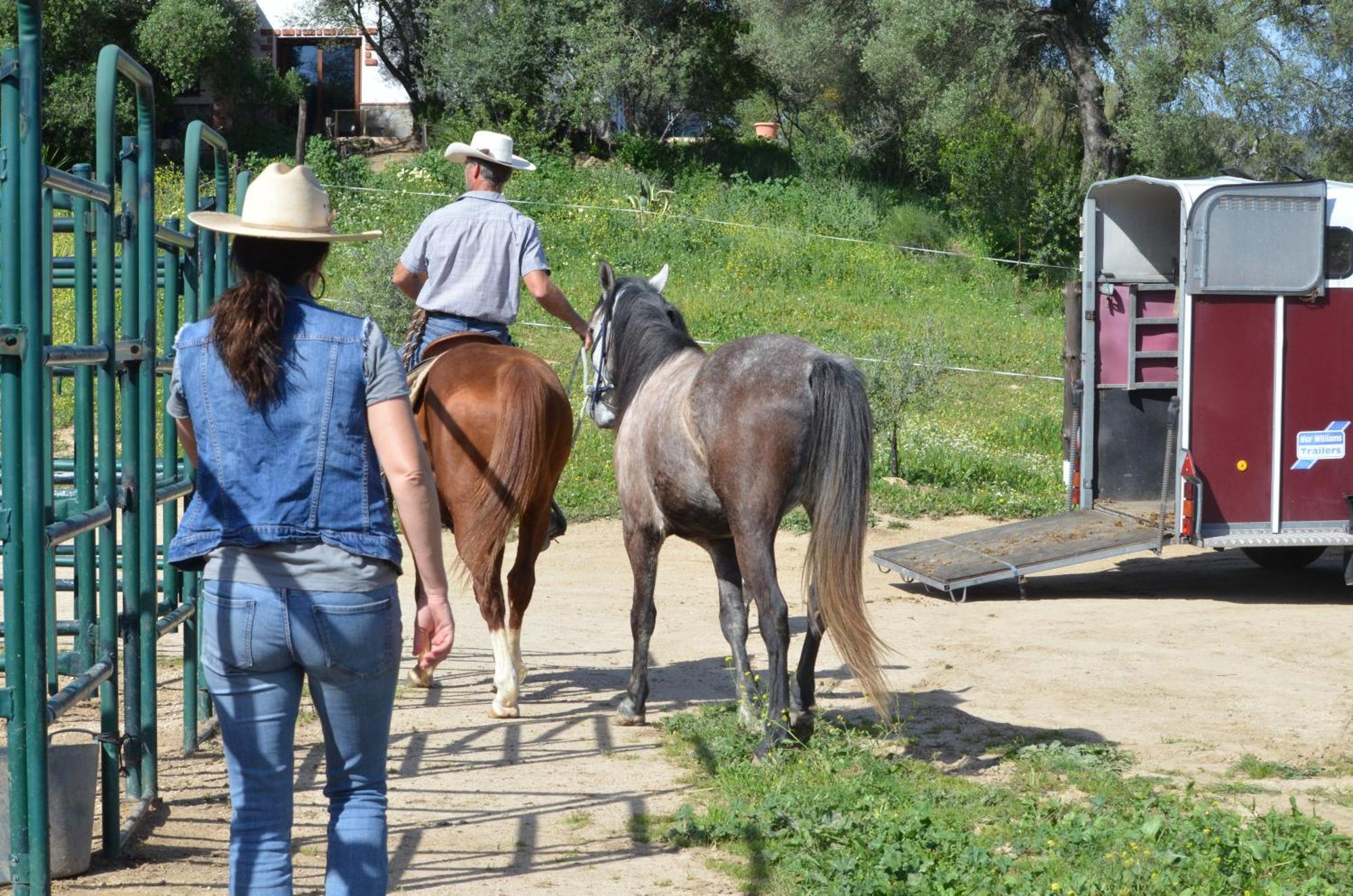 Cabana Rustica En Un Rancho Con Caballos, Prado Del Rey, Andalucia エクステリア 写真
